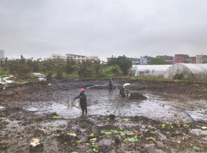 雨湖河道鱼塘清淤